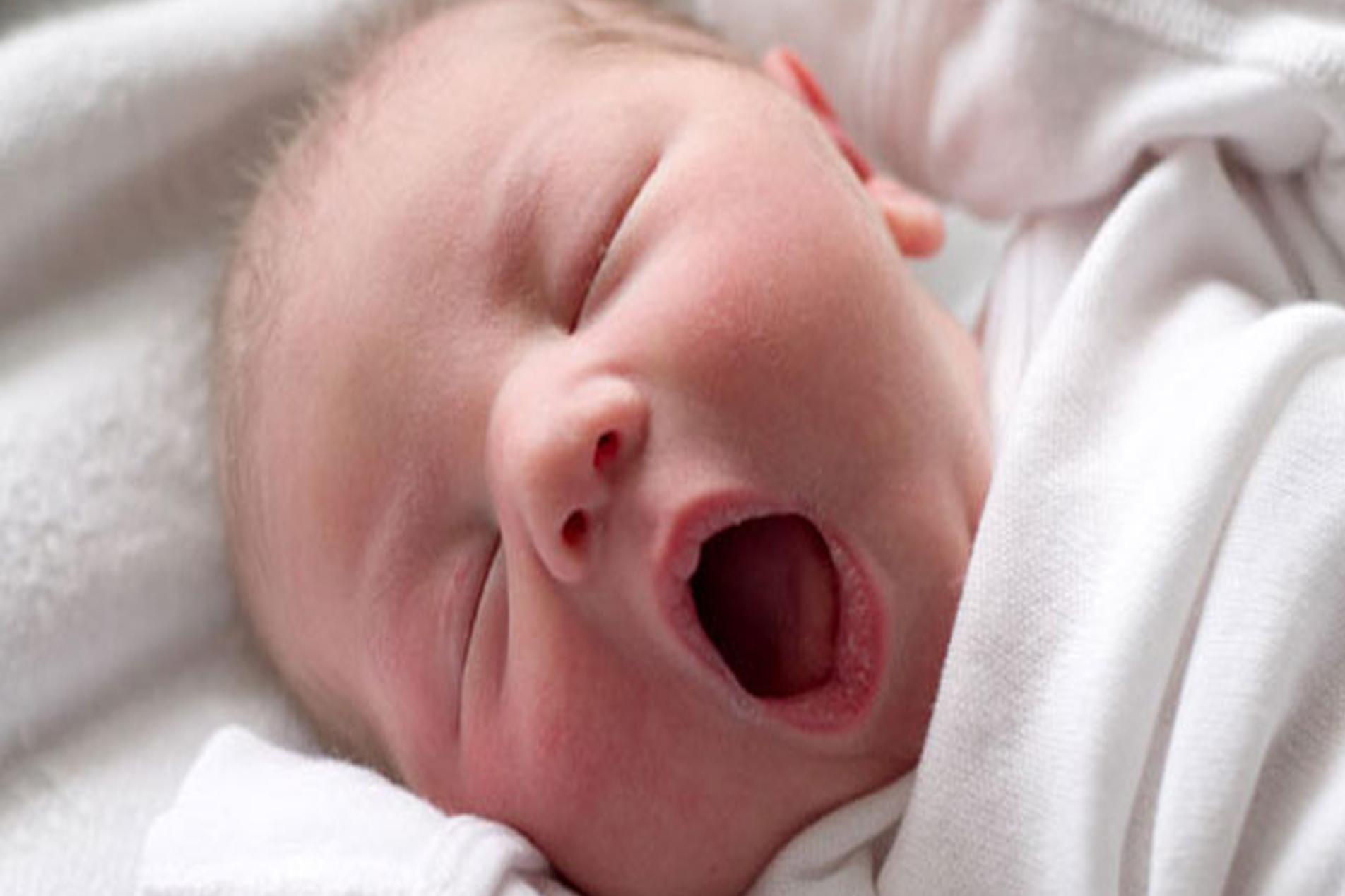 Canlı doğan bebek sayısı 1 milyon 248 bin 847 oldu