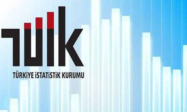 Türkiye İstatistik Kurumu Erzurum Bölge Müdürlüğünden alınan bilgilere göre