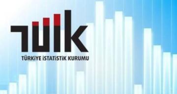 Türkiye İstatistik Kurumu Erzurum Bölge Müdürlüğünden alınan bilgilere göre