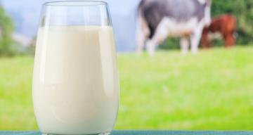 Okulda başarı için süt ve spor şart!