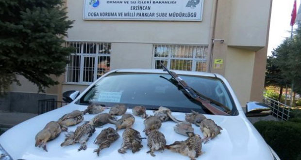 Erzincan’da usulsüz keklik avcılarına para cezası