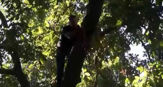 Erzincan’da ağaçtan düşen kişi hayatını kaybetti