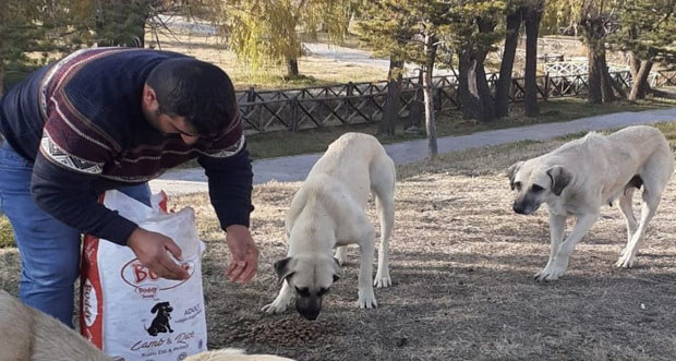 Erzincan Belediyesi Sokak Hayvanlarını Unutmadı