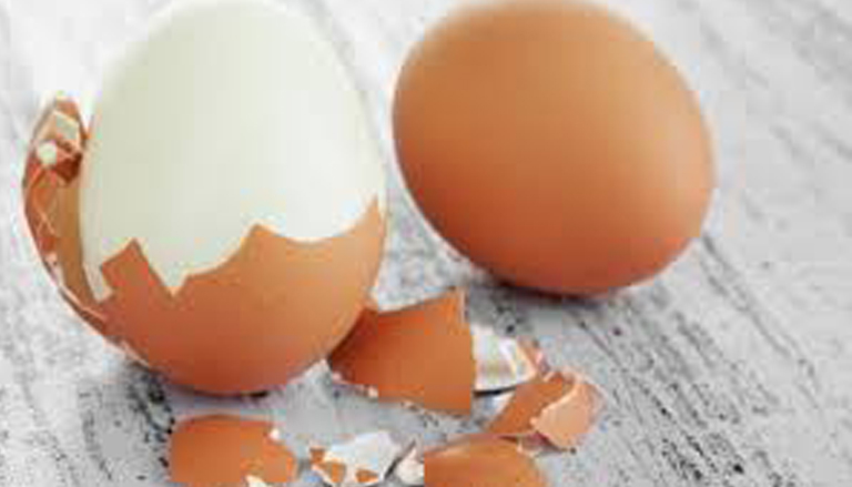 Yumurta kabukları şifa dağıtıyor