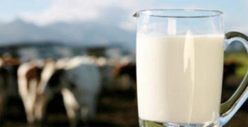 ÇİĞ SÜT ÖDEMELERİ BAŞLADI