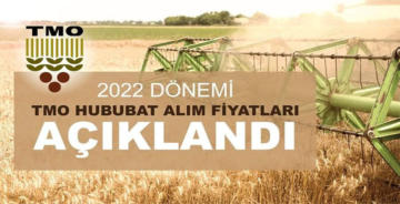 TMO 2022 YILI HUBUBAT ALIM FİYAT VE POLİTİKALARI