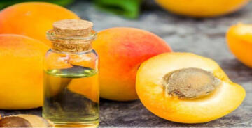 KAYISI ÇEKİRDEĞİ YAĞININ FAYDALARI