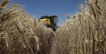 TARSİM KAPSAMINDA 2022’DE 4,8 MİLYAR LİRA PRİM DESTEĞİ SAĞLANDI