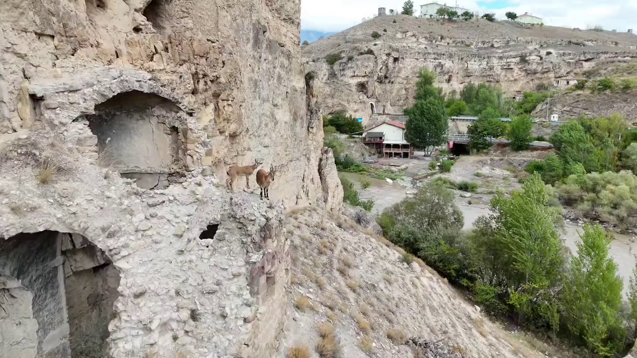 KEMAH KALE DİBİNİN DAVETSİZ MİSAFİRLERİ