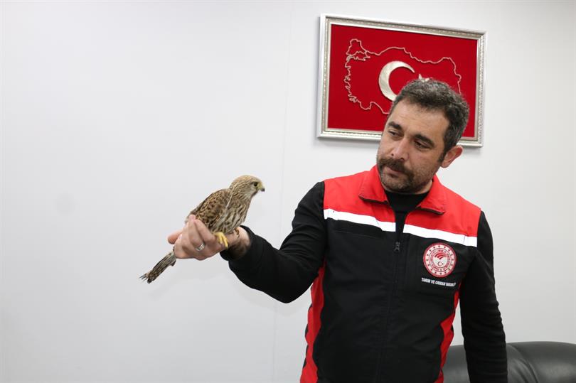 ERZİNCAN’DA EKİPLER, KERKENEZ İÇİN SEFERBER OLDU