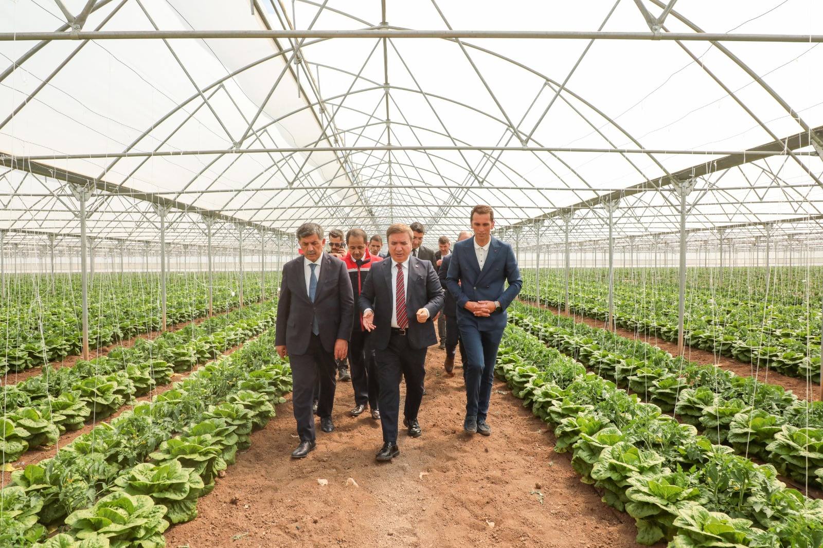 ERZİNCAN’DA SERA ALANLARI GENİŞLİYOR, ÜRETİM ARTIYOR