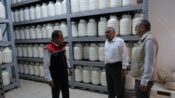 AB COĞRAFİ İŞARETLİ ERZİNCAN TULUM PEYNİRİ ÜRETİM YERLERİNDE İNCELEME