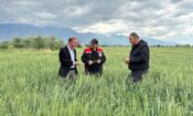 ERZİNCAN’DA HUBUBAT EKİM ALANLARINDA HASTALIK VE ZARARLI KONTROLLERİ DEVAM EDİYOR