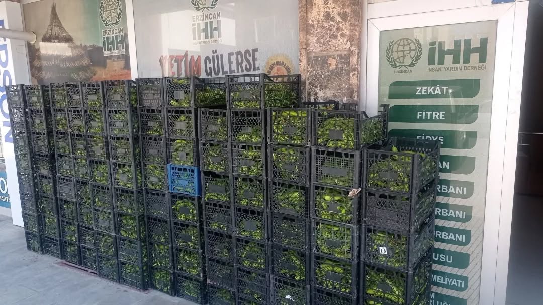 5 TON YEŞİL SEBZE İHTİYAÇ SAHİBİ AİLELERE ULAŞTIRILDI