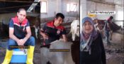 ERZİNCAN’DA HAYVAN REFAHINI ÖNCELEYEN AŞILAMA YÖNTEMİ