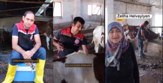 ERZİNCAN’DA HAYVAN REFAHINI ÖNCELEYEN AŞILAMA YÖNTEMİ
