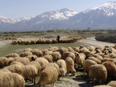 KÖYÜMDE YAŞAMAK İÇİN BİR SÜRÜ NEDENİM VAR”