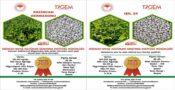 “ERZİNCAN DERMASONU” YEREL ÇEŞİT OLDU, “IŞIL 24” TESCİLLENDİ