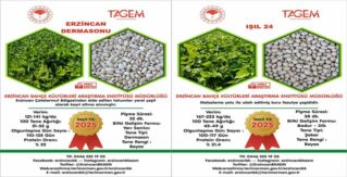 “ERZİNCAN DERMASONU” YEREL ÇEŞİT OLDU, “IŞIL 24” TESCİLLENDİ