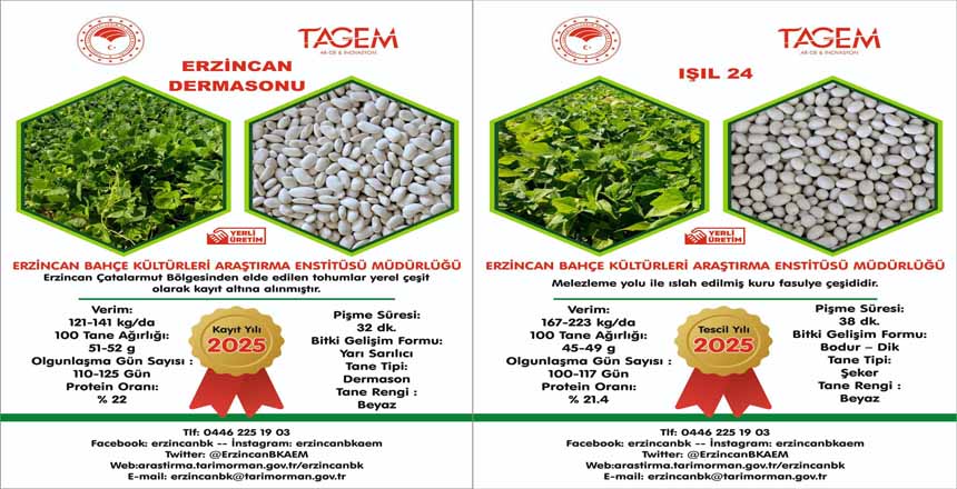“ERZİNCAN DERMASONU” YEREL ÇEŞİT OLDU, “IŞIL 24” TESCİLLENDİ