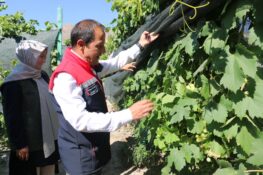 ERZİNCAN’DA ÜZÜM ÇEŞİTLİLİĞİNE ÖRNEK BAHÇE