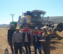 OTLUKBELİ’NDE HUBUBAT HASADI TÜM HIZIYLA SÜRÜYOR