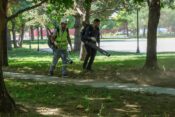 BELEDİYE EKİPLERİ PARK VE YEŞİL ALANLARDA YOĞUN MESAİ YAPIYOR