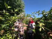 ERZİNCAN’DA BÖĞÜRTLEN ÜRETİMİNE DESTEK ZİYARETİ