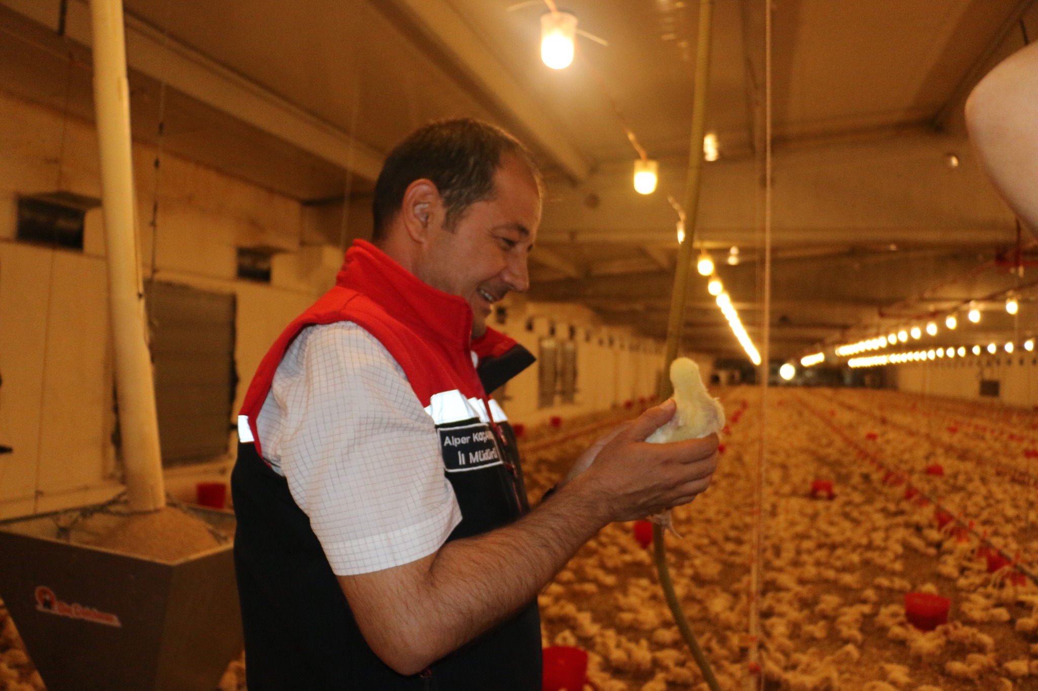 ERZİNCAN’DA BROİLER ÜRETİMİNE YAKIN TAKİP