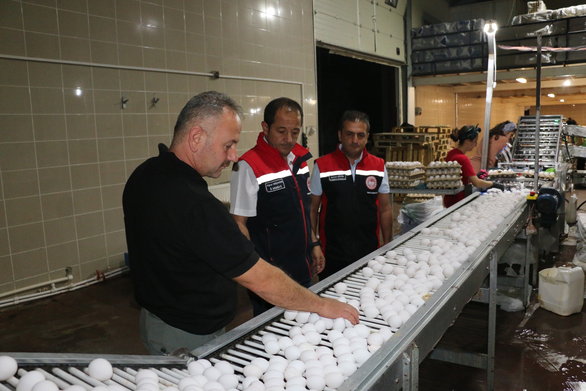 İL MÜDÜRÜ ALPER KOÇAKER, YAYLABAŞI’NDAKİ YUMURTA TAVUKÇULUĞU İŞLETMESİNİ ZİYARET ETTİ