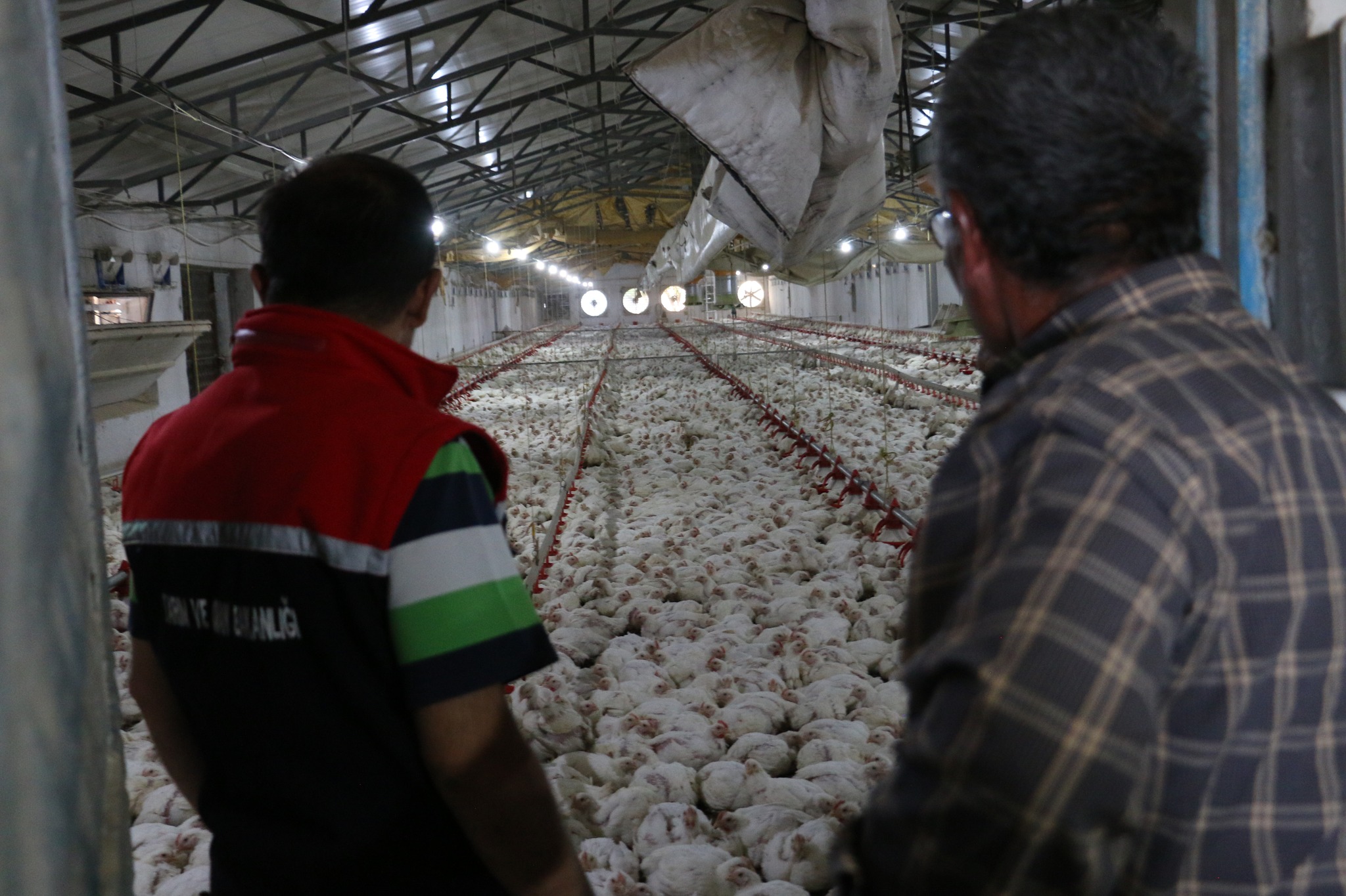 İL MÜDÜRÜ KOÇKER’DEN ÜZÜMLÜ’DE BROİLER İŞLETMESİNE ZİYARET