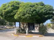 KEMAH’TA MEZARKLIK RESTORASYONU TAMAMLANDI