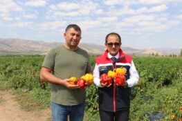 ŞİLİ, KALİFORNİYA, JALAPONE… HEPSİ ERZİNCAN’DA!