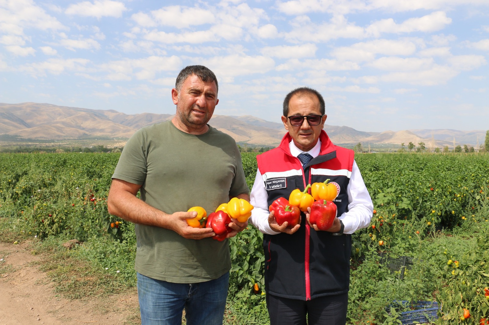 ŞİLİ, KALİFORNİYA, JALAPONE… HEPSİ ERZİNCAN’DA!