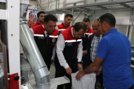1398 RAKIMLI KÖYDE ÜLKENİN EN KALİTELİ CEVİZLERİ YETİŞTİRİLİYOR