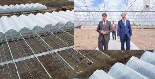 BAŞKAN AKSUN’DAN TOPLU SERA BÖLGESİ ZİYARETİ