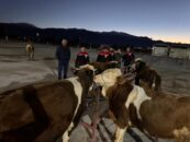 CANLI HAYVAN PAZARI YENİDEN AÇILDI