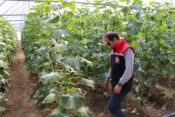 İL MÜDÜRÜ ALPER KOCAKER’DEN MOLLAKÖY’DE SERACILIK ZİYARETİ