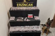 UYUŞTURUCU OPERASYONUNDA 6 BİN 335 SENTETİK ECZA MADDESİ ELE GEÇİRİLDİ