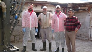 ERZİNCAN DAMIZLIK SIĞIR YETİŞTİRİCİLERİ BİRLİĞİ’NDEN TIRNAK BAKIM HİZMETİ