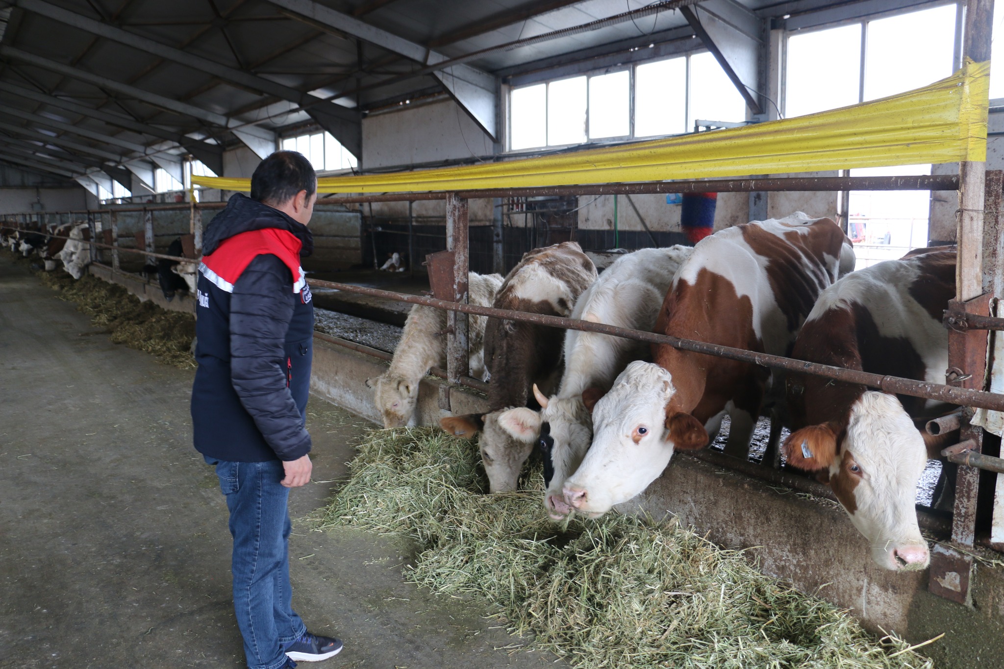 ERZİNCAN’DA 100 BAŞLIK HAYVANCILIK İŞLETMESİNE ZİYARET