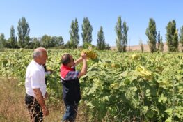 ERZİNCAN’DA ÇKS BAŞVURULARINDA SÜRE DOLUYOR: ÇİFTÇİLERE SON ÇAĞRI