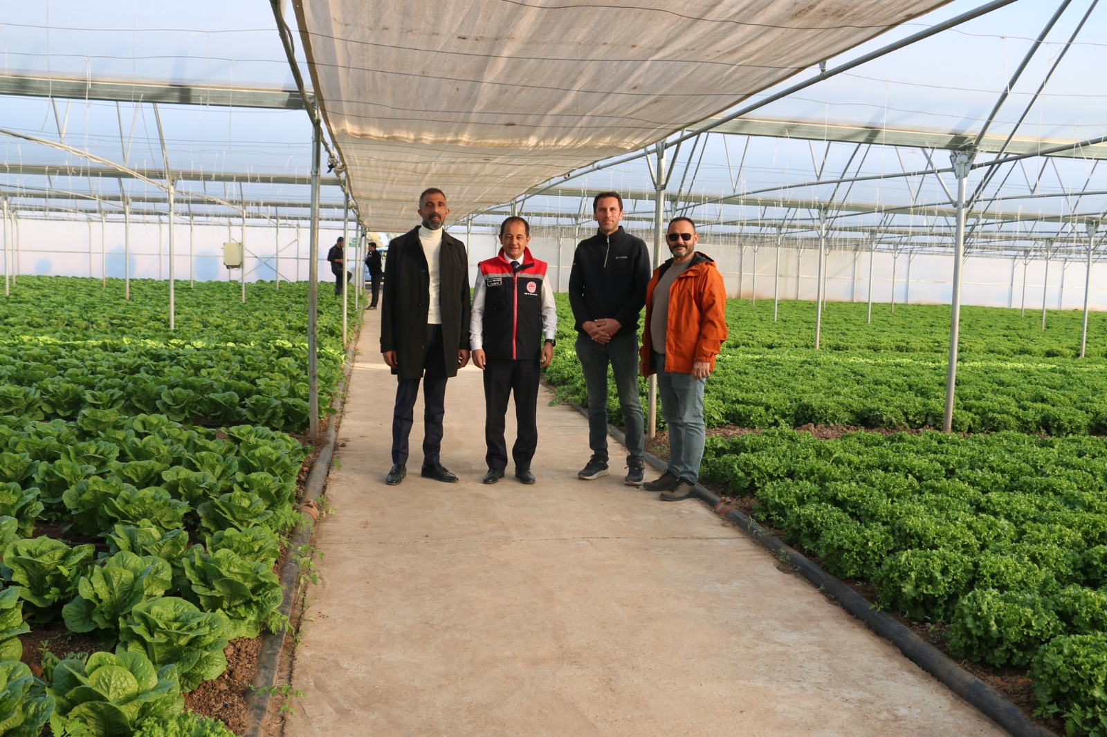 KIŞLIK MARUL ÜRETİMİ HIZ KAZANDI: GENÇ GİRİŞİMCİ TAHTALI ÖRNEK OLUYOR