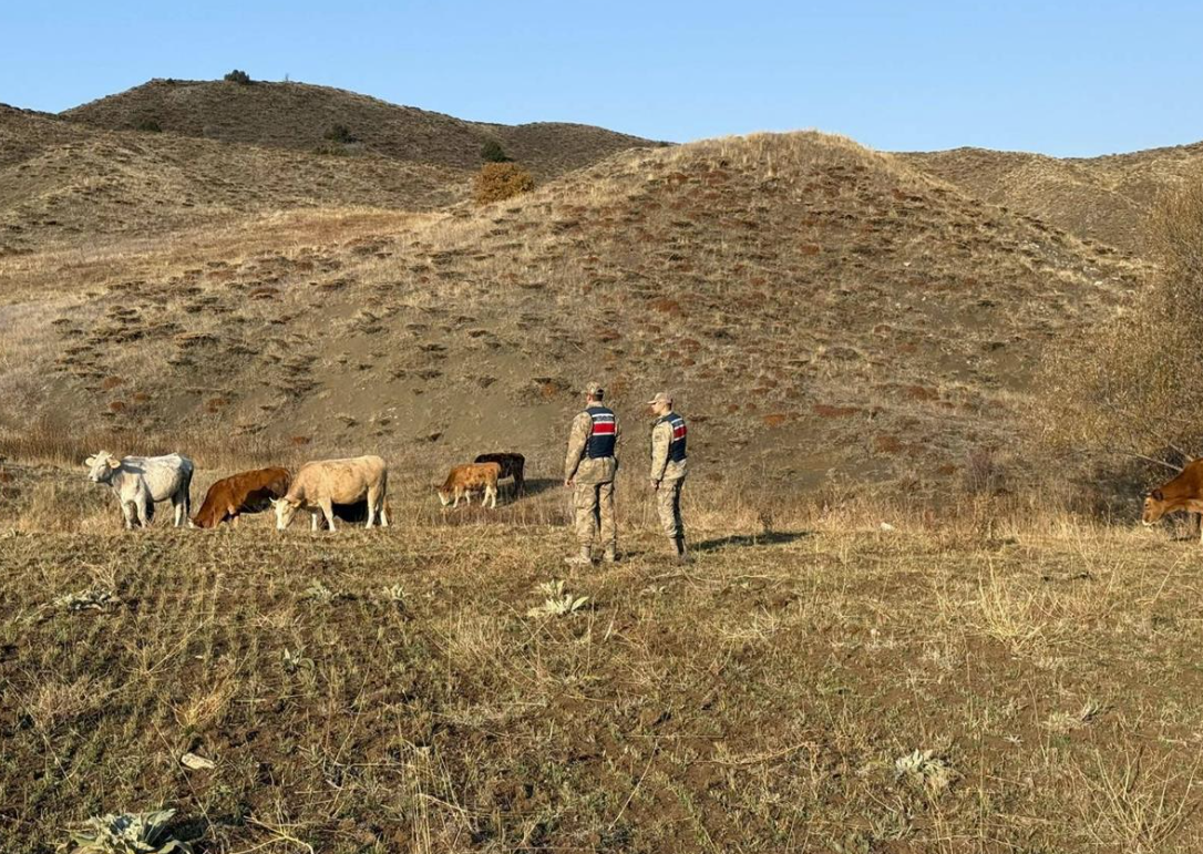 REFAHİYE’DE KAYBOLAN HAYVANLAR BULUNARAK SAHİBİNE TESLİM EDİLDİ