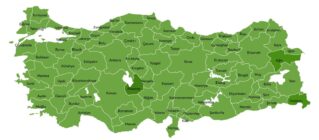 TÜRKİYE YEŞİL VATANA SAHİP ÇIKIYOR: ERZİNCAN “GELECEĞE NEFES” OLUYOR