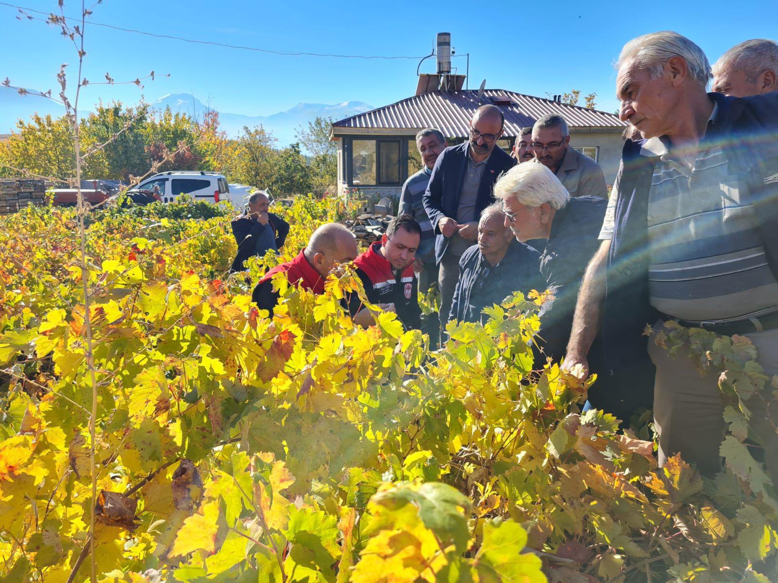 ÜZÜMLÜ’DE ÇİFTÇİLERE BAĞ HASTALIKLARI VE TOPRAK ANALİZİ EĞİTİMİ VERİLDİ