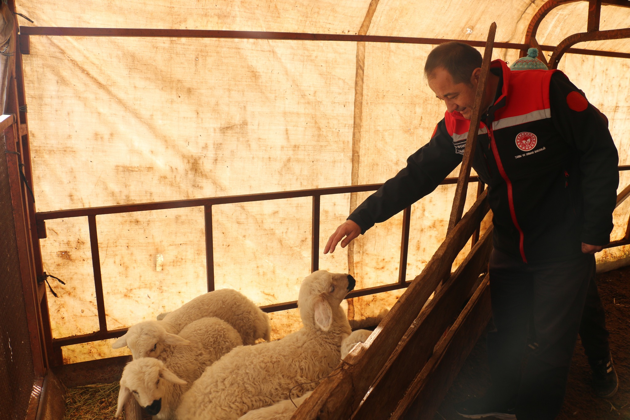 ERZİNCAN İL MÜDÜRÜ KOÇAKER, KALECİK KÖYÜNDE KÜÇÜKBAŞ HAYVAN YETİŞTİRİCİLERİYLE BULUŞTU
