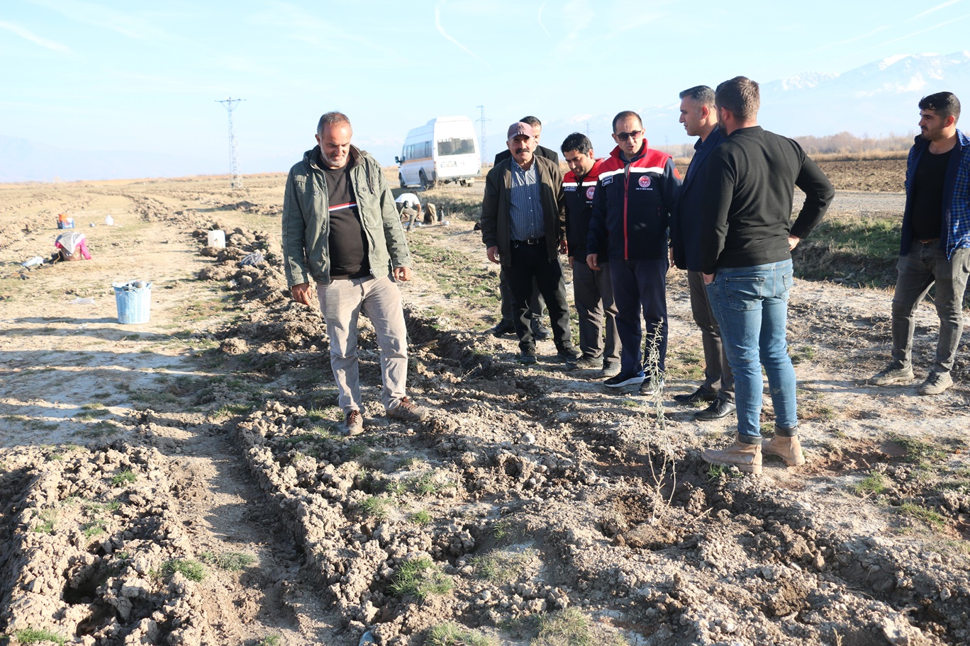 ERZİNCAN’DA 111 BİN TUZ ÇALISI TOPRAKLA BULUŞTURULDU