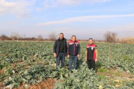 ERZİNCAN’DA ARALIK AYINDA KIŞLIK SEBZE HASADI SÜRÜYOR