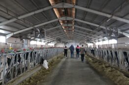 İL TARIM VE ORMAN MÜDÜRÜ KOÇAKER’DEN SÜT SIĞIRCILIĞI İŞLETMESİNE İNCELEME